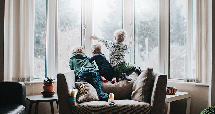 campaign-product-cards